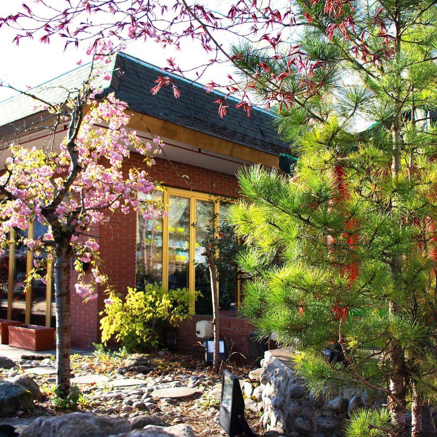 Sommergarten VU JAA Restaurant München-Solln